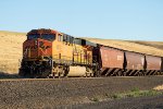 BNSF 6213